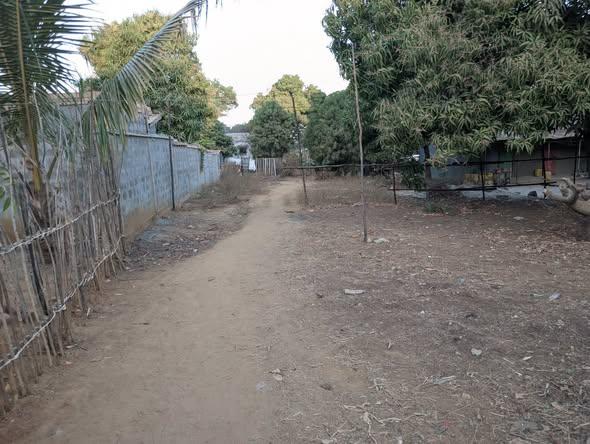 Terrain 600 m² à vendre — Mahajanga - photo 2