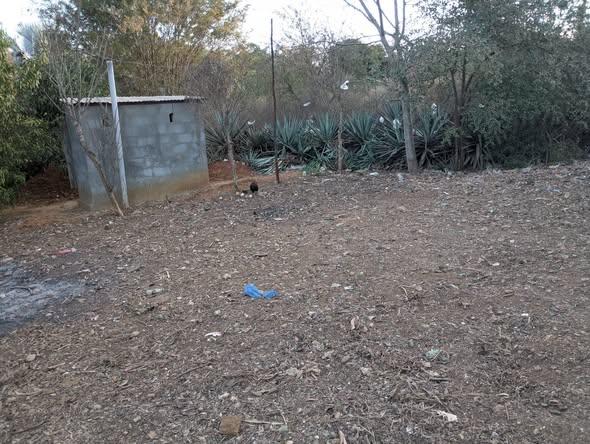 Terrain 600 m² à vendre — Mahajanga - photo 3