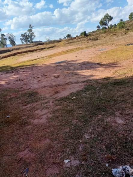 Terrain 10 000 m² à vendre — Anosiala - photo 3