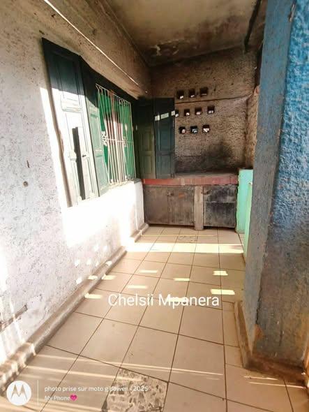 Trano Ahofa à louer — Manakambahiny - photo 3