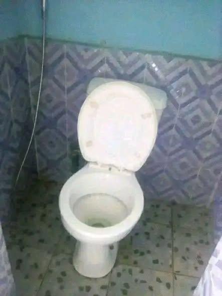 Trano Ahofa 1 ch. à louer — Ambohidratrimo - photo 2