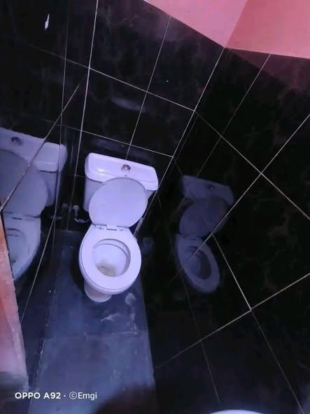Trano Ahofa 1 ch. à louer — Ankadimbahoaka - photo 4