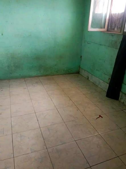 Trano Ahofa 2 ch. à louer — 67ha - photo 2