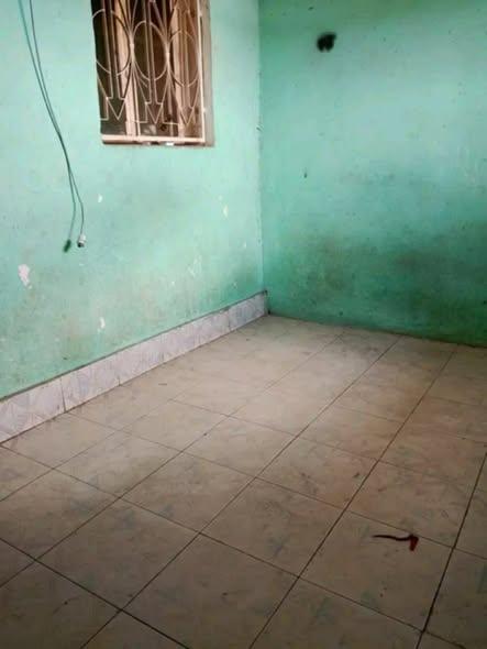 Trano Ahofa 2 ch. à louer — 67ha - photo 3