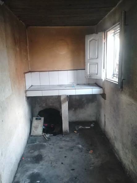 Trano Ahofa 1 ch. à louer — Andavamamba - photo 2