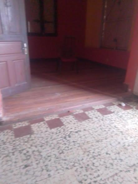 Trano Ahofa à louer — Ambanidia - photo 1