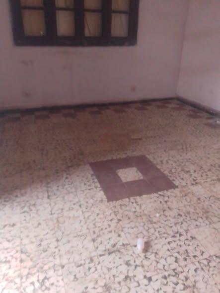 Trano Ahofa à louer — Ambanidia - photo 3