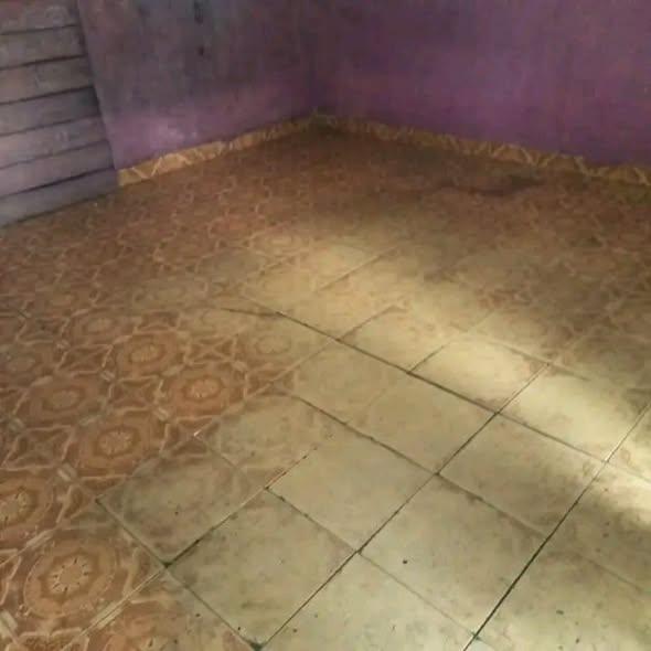 Trano Ahofa 5 ch. à louer — Antanambao - photo 2