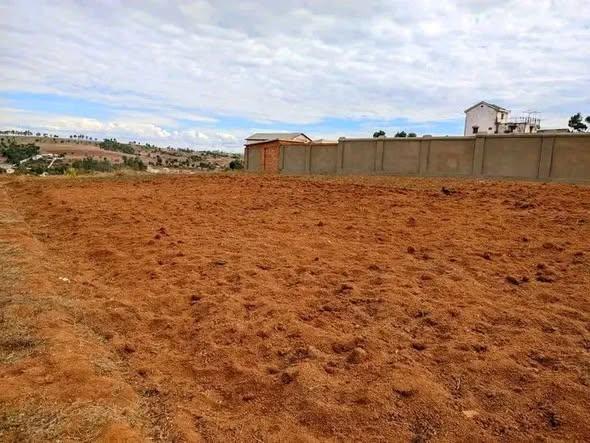 Terrain 600 m² à vendre — Imerintsiatosika - photo 2