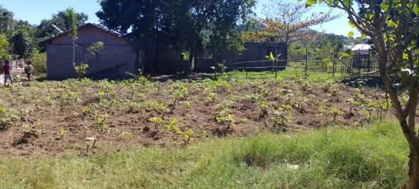 Terrain 400 m² à vendre — Nosy Be - photo 2