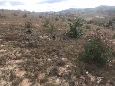 Terre agricole 9 000 m² à vendre… — 3 600 000 000 Ar | Fonenako