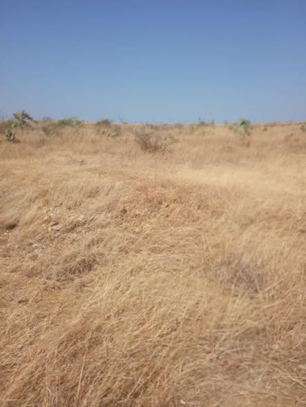 Terrain 30 000 m² à vendre — Ouest - photo 5