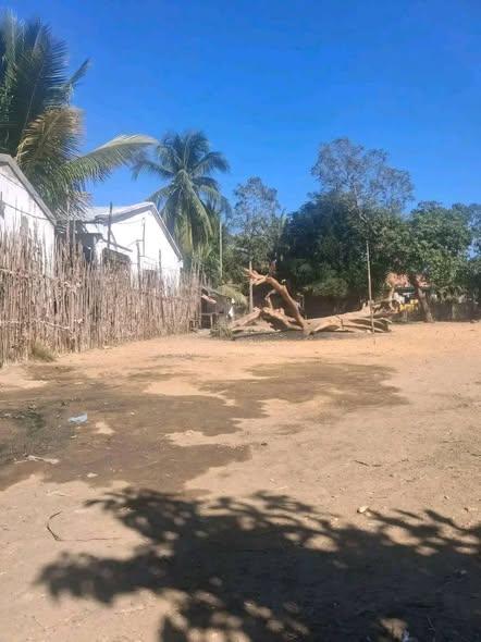 Maison 400 m² à vendre — Mahajanga - photo 3