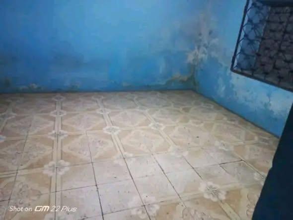 Trano Ahofa 1 ch. à louer — Namontana - photo 2