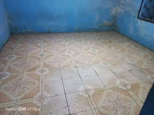 Trano Ahofa 1 ch. à louer — Namontana - photo 3