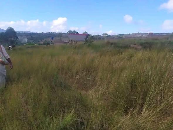 Terrain 2 300 m² à vendre — Carion - photo 3