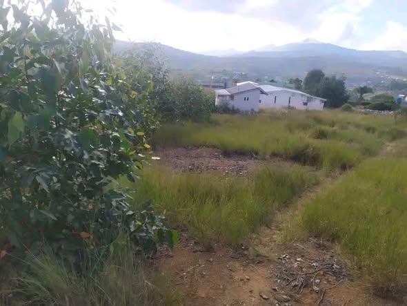 Terrain 2 300 m² à vendre — Carion - photo 4