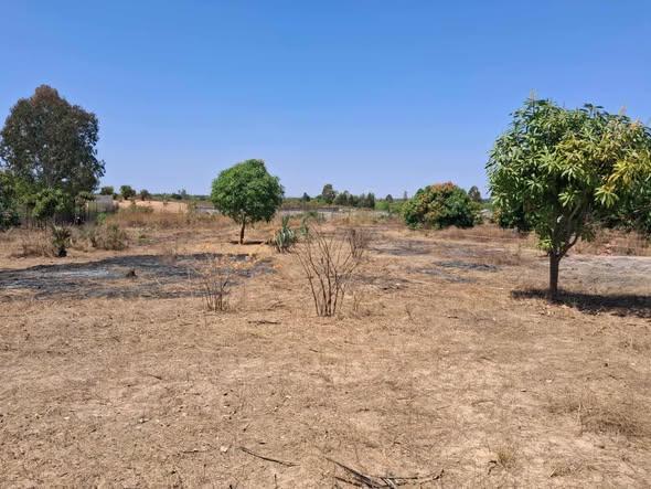 Terrain 2 000 m² à vendre — Mahajanga - photo 2