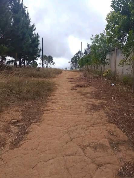 Terrain 800 m² à vendre — Ambatobe - photo 3