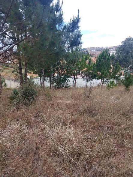 Terrain 800 m² à vendre — Ambatobe - photo 4
