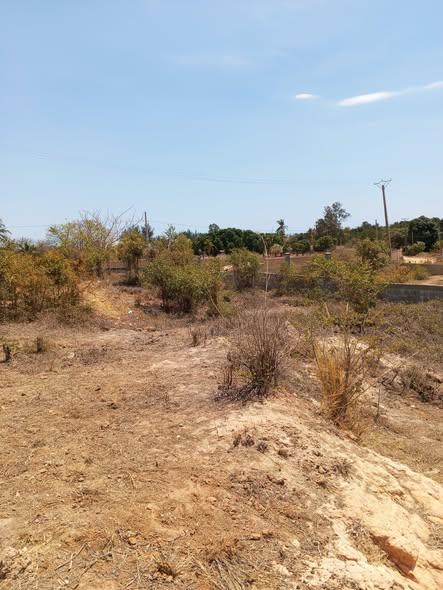 Terrain 1 300 m² à vendre — Mahajanga - photo 5