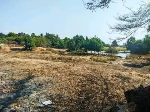 Terre agricole 1 500 m² à vendre… — 40 000 000 Ar | Fonenako