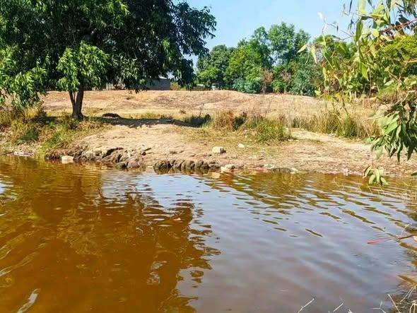 Terre agricole 1 500 m² à vendre — Mahajanga - photo 2