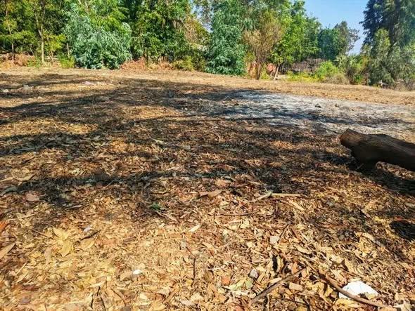 Terre agricole 1 500 m² à vendre — Mahajanga - photo 3