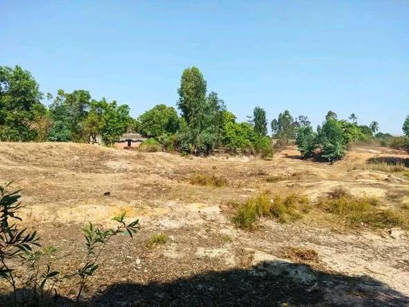 Terre agricole 1 500 m² à vendre — Mahajanga - photo 4