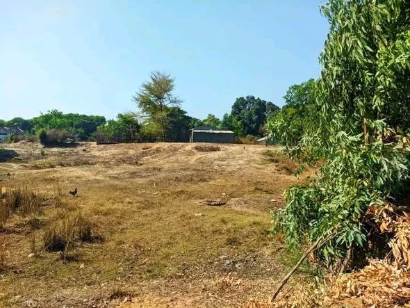 Terre agricole 1 500 m² à vendre — Mahajanga - photo 5