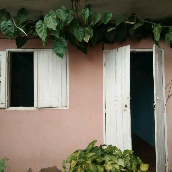 Trano Ahofa 1 ch. à louer — Bemasoandro - photo 1