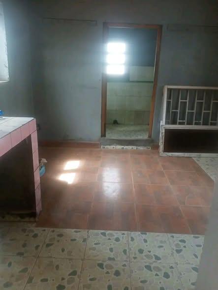 Trano Ahofa 2 ch. à louer — 67 ha - photo 3
