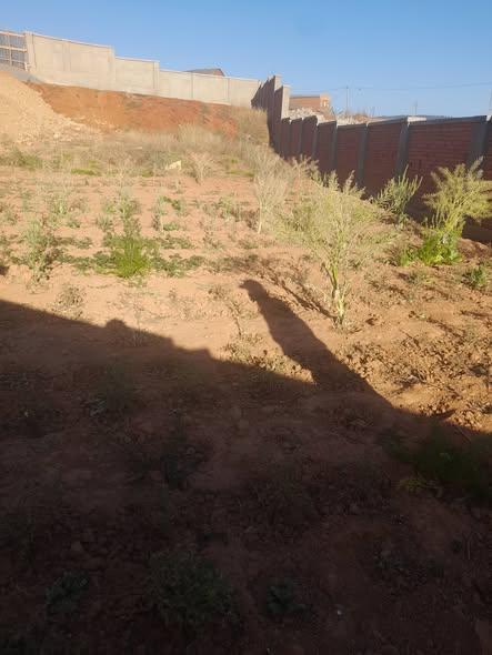 Terrain à vendre — Ambohijanaka - photo 1