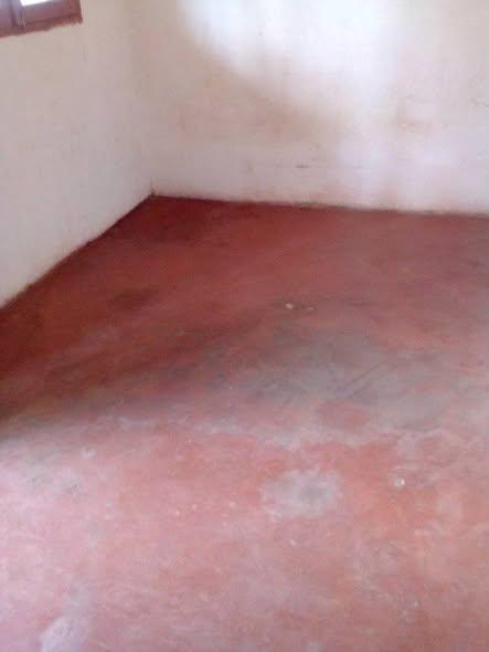 Trano Ahofa 1 ch. à louer — Ambany - photo 2