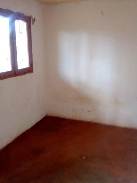 Trano Ahofa 1 ch. à louer — Ambany - photo 3