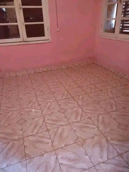 Maison 2 ch. à louer — Ivato - photo 2
