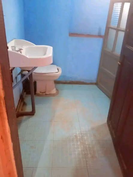 Maison 2 ch. à louer — Ivato - photo 5