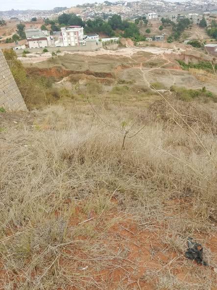 Terrain 800 m² à vendre — By Pass · 75 000 Ar/m² - photo 1