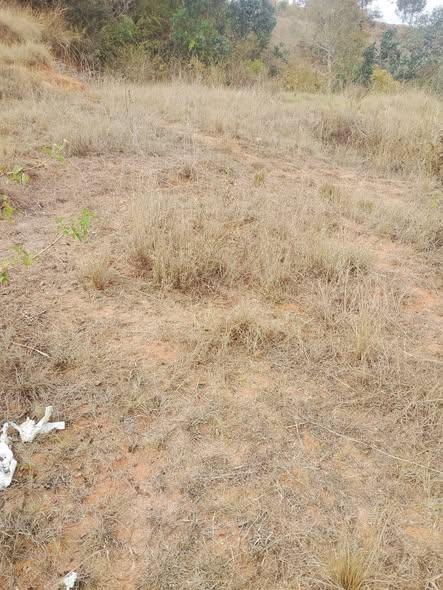Terrain 800 m² à vendre — By Pass · 75 000 Ar/m² - photo 4