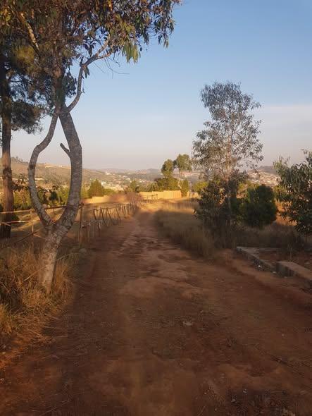 Terrain 30 000 m² à vendre — Betsizaraina - photo 4