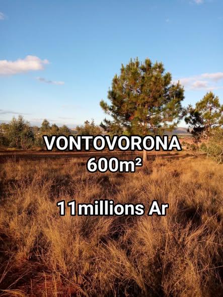Terrain 700 m² à vendre — Vontovorona - photo 2