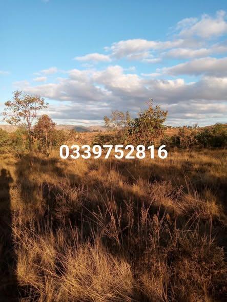 Terrain 700 m² à vendre — Vontovorona - photo 3