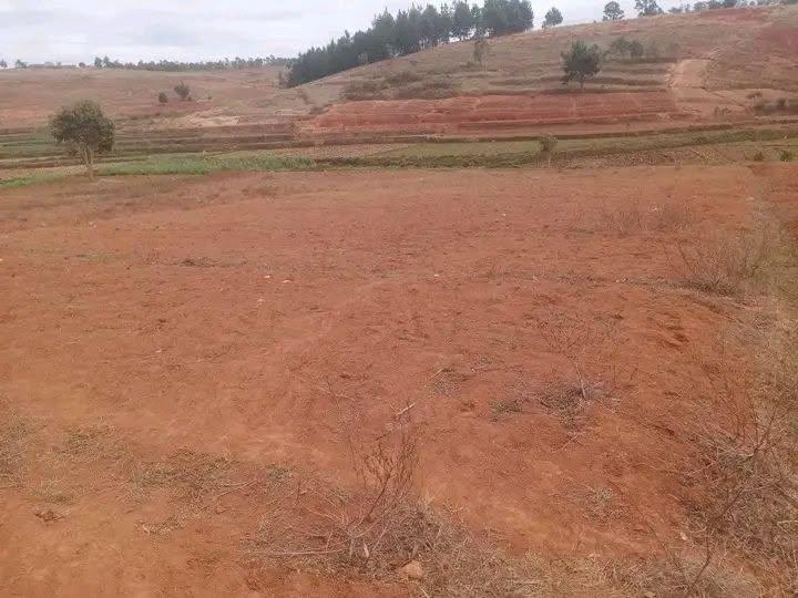 Terrain 2 800 m² à vendre — Imerintsiatosika - photo 1