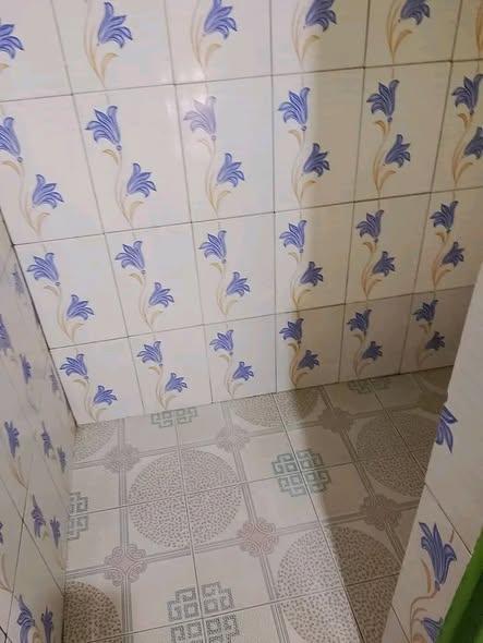 Maison 1 ch. à louer — 67ha - photo 5