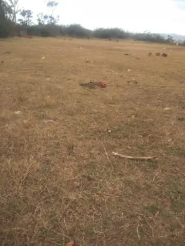 Terrain à vendre — Alasora | Fonenako