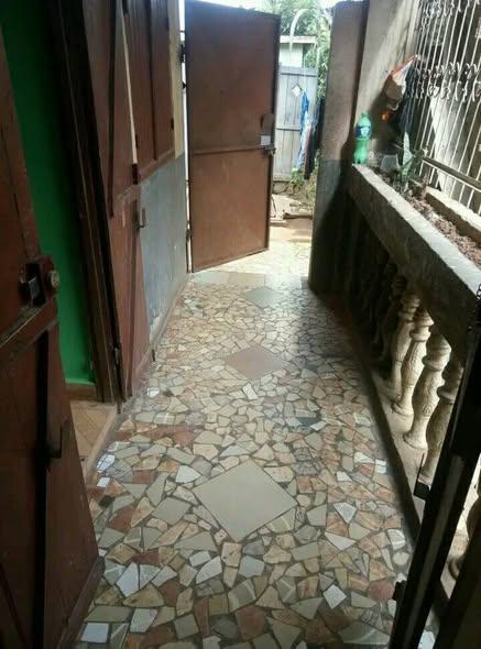 Trano Ahofa 1 ch. à louer — Ambany - photo 2