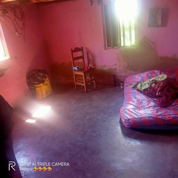 Trano Ahofa 1 ch. à louer — Ambatolampy - photo 1