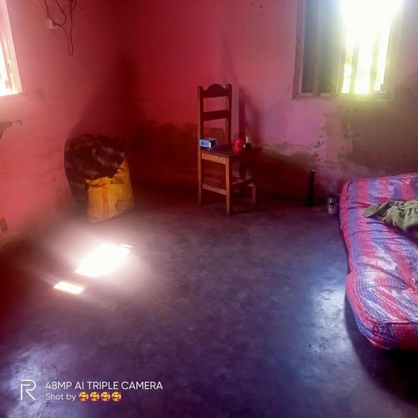 Trano Ahofa 1 ch. à louer — Ambatolampy - photo 2