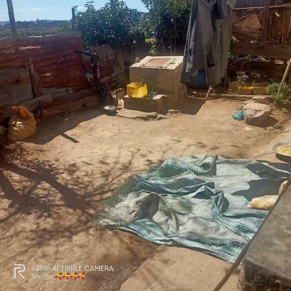 Trano Ahofa 1 ch. à louer — Ambatolampy - photo 4