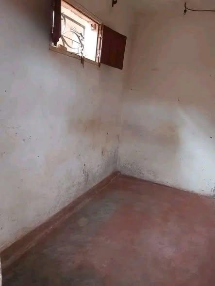 Maison à louer — Ankatso - photo 2
